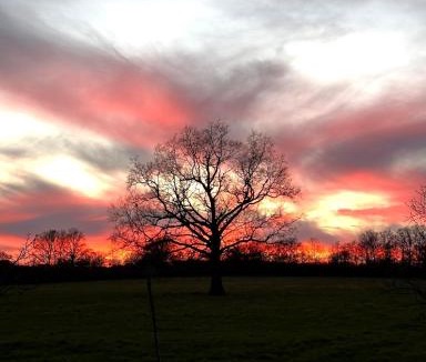 Beaulon Bed & Breakfast | La roulotte Champêtre des Grillots