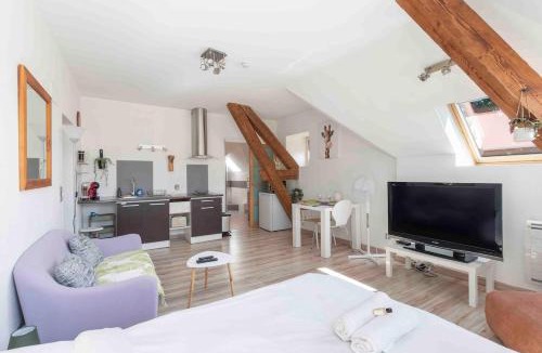 Macon Apartment | La Suite des Épinoches - Parking Privé