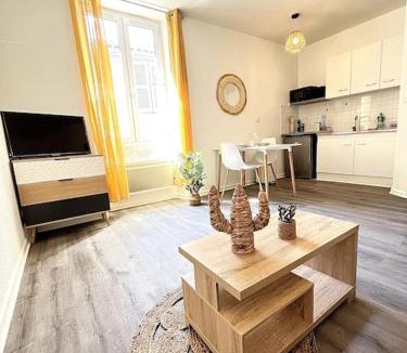 Romans-sur-Isere Apartment | La Topaze Jaune - Romans