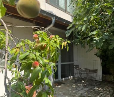 Vesoul Apartment | La Villa Bis