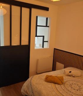 Vieux Vichy Apartment | Le Celestin - Appartement centre-ville avec terrasse et salon de jardin