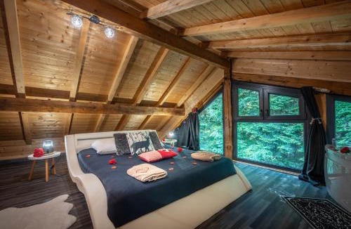 Renauvoid Ski Chalet | Le Chalet des Buch avec Spa - Terrasse - Parking - Clim - Wifi