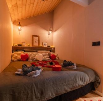 Tours-en-Savoie Apartment | Le Chalet Madrier - Terrasse et Jacuzzi privé