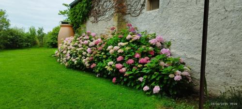 Anzy-le-Duc Bed & Breakfast | Le Charbonnet