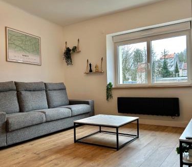 Quartier Beauregard-Boufflers-Buthegnemont-Boudonville Apartment | Le Chardon Nancy- 2 chambres- parking gratuit- proche transports et Zénith