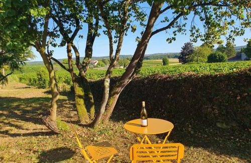 Clesse House | Le Clos Violet Holiday Home For 6 - Escapade en Bourgogne