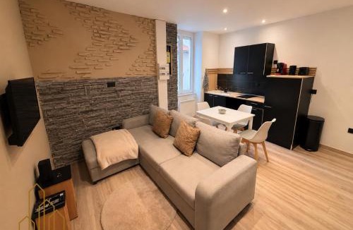 Roanne Apartment | Le Cocon Rollin - Moderne & Confort