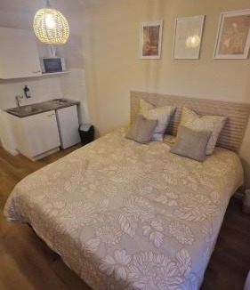 Paray-le-Monial Apartment | Le Cosy 209 des Logis de Paray Studio Downtown