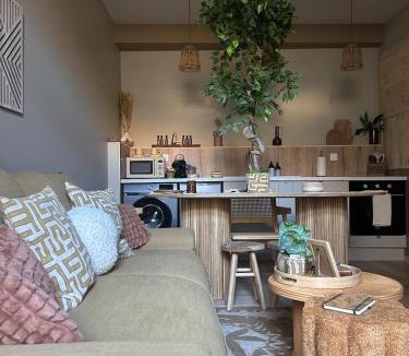 Macon Apartment | LE COTTAGE, T2, Hyper center, Terrasse