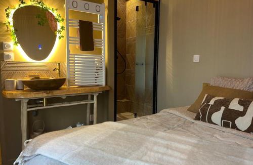 Macon Apartment | LE COTTAGE, T2, Hyper center, Terrasse
