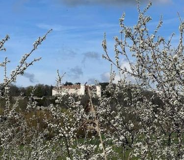 Ray-sur-Saone House | le Gîte de Marie Ray Sur Saône