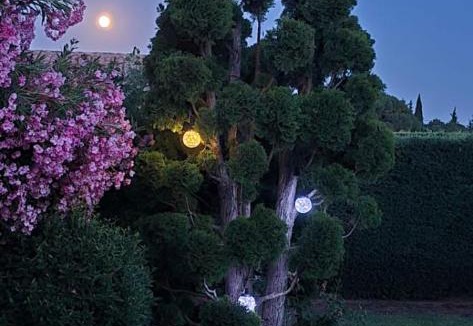 Mazan Bed & Breakfast | Le Jardin d'Helfy