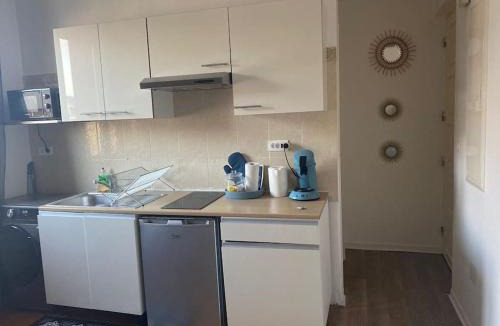 Quartier Exposition-Bajatiere Apartment | Le Jean Perrot rent4night grenoble