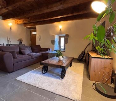 La Roche-sur-Foron Apartment | Le Médiéval dernier étage dans le centre historique