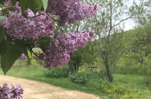 Sault Bed & Breakfast | Le Mas de Loume