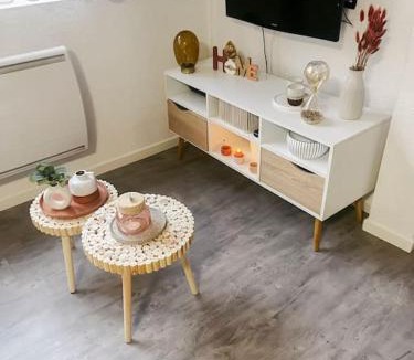 Romans-sur-Isere Apartment | Le Milano - Studio Centre ville - Romans