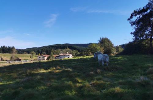 Viscomtat Bed & Breakfast | Le Moulin de la Fortie, maison d'hôtes