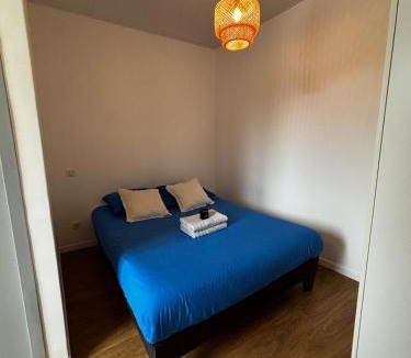 La Roche-sur-Foron Apartment | Le Nébula - rénové - parking - proche centre ville
