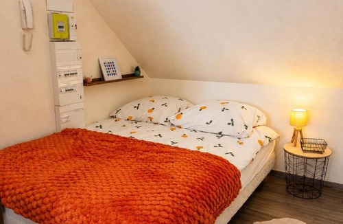 Dole Apartment | Le Nid Dolois