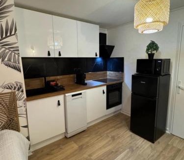 Issoire Apartment | Le Nid douillet- Studio Chic au cœur Issoire