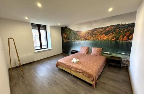 Epinal Apartment | Le Paris-Vosges