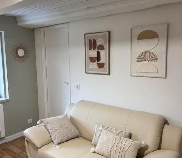 Pont-de-Veyle Apartment | Le petit cocon