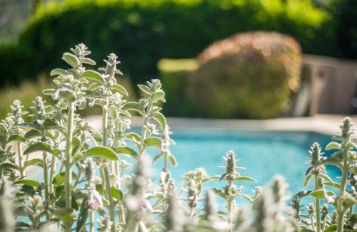 Malaucene House | Le Refuge Provençal Nijonyas