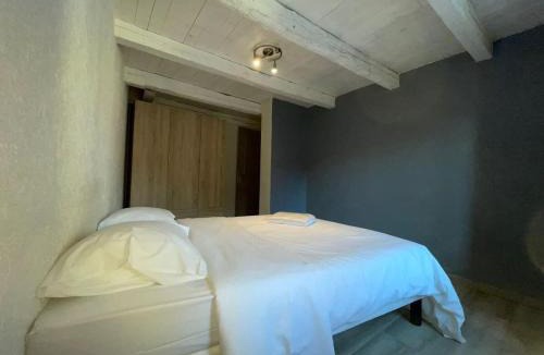 La Roche-sur-Foron Apartment | Le Rochois, T3 au centre - idéal pour une famille ou 2 couples