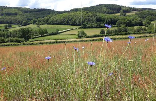 Cussy-en-Morvan Bed & Breakfast | Le Studio du Crot Noir