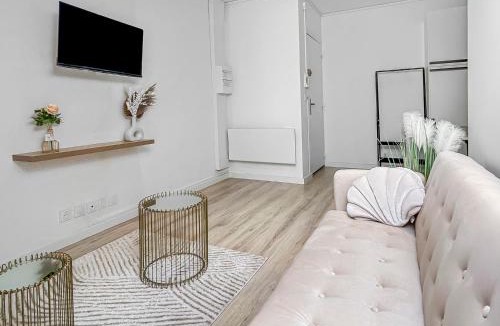 Romans-sur-Isere Apartment | Le Toit du Centre-Ville