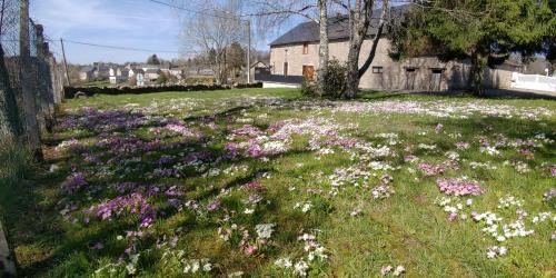 Arleuf House | LES ARLEUQUINS