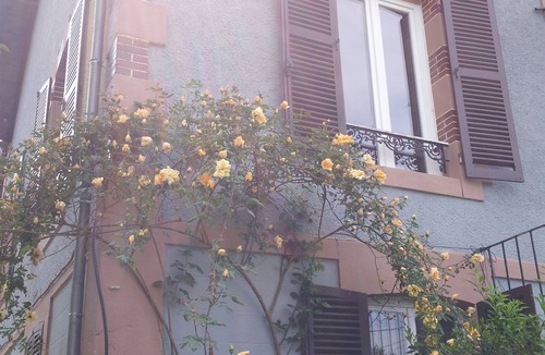 Saint-Honore-les-Bains Apartment | Les Buissonnets "Mozart" Apartment 2 people in the Morvan