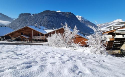 Chatel Apartment | Les Chalets du Petit Châtel - Alp'in C