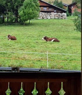 Chatel Apartment | Les Chalets du Petit Châtel - Alp'in C