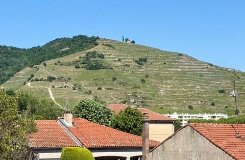 Tournon-sur-Rhone Apartment | Les Coteaux d'Anaïs - Tournon-sur-Rhône
