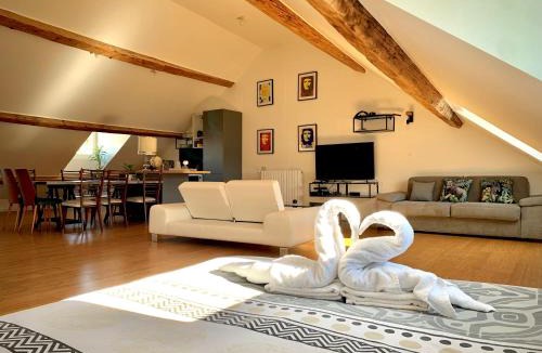 Besancon Old Town Apartment | Les Fabuleux appartements du Coeur de ville - Place Victor Hugo