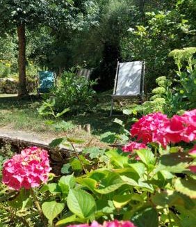 Le Larderet House | Les Gîtes Du Larderet - Le sous bois