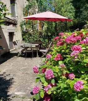 Le Larderet House | Les Gîtes Du Larderet - Le sous bois