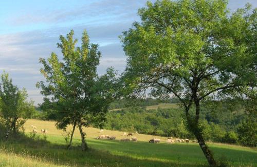 Albas House | Les Hauts d'Albas
