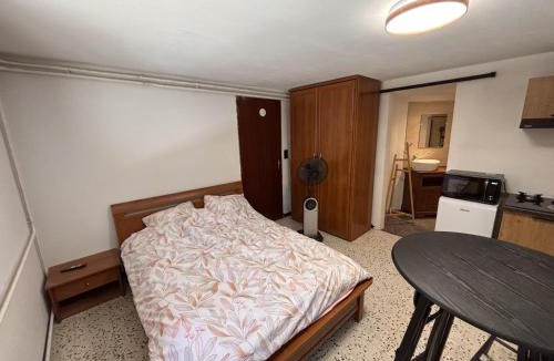 Pont-Saint-Esprit Apartment | les Iris