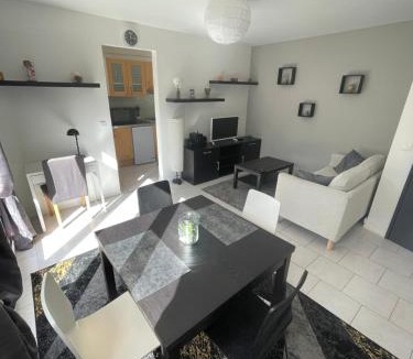 Luxeuil-les-Bains Apartment | Les Jonchères - appartement cosy proche Thermes