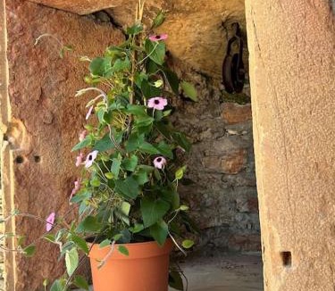 Prisse House | Les Murgers Au coeur des Vignes