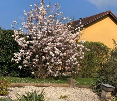 Gourgeon House | Les oliviers