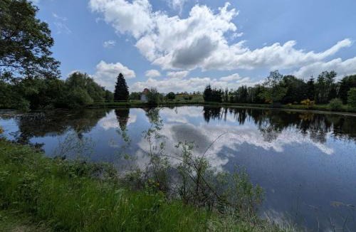 Saint-Jean-des-Ollieres Bed & Breakfast | Les Poneys Fringants