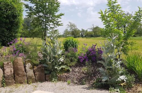 Fougerolles House | Les Vergers d'Epona "Fougerolles Haute-Saône"