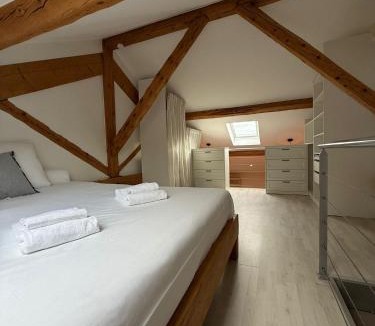 Cournon-dʼAuvergne Apartment | Loft Cournon by PRIM0 C0NCIERGERIE