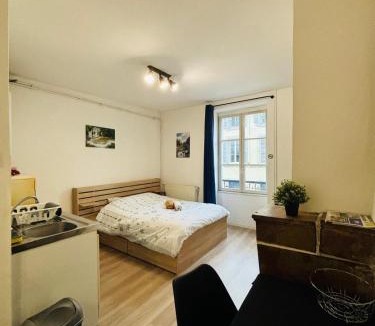 Lons-le-Saunier Apartment | Lons City Studio