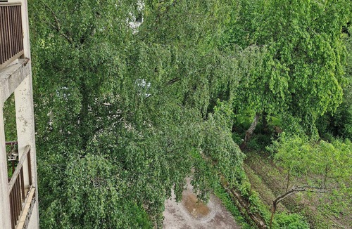Chantraine Apartment | Lovely studio 15min walk from Epinal town center