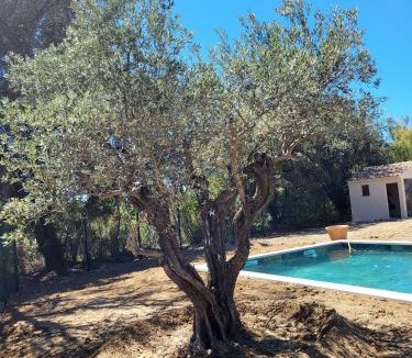 Aubignan Villa | Magnifique villa avec piscine privée à Aubignan