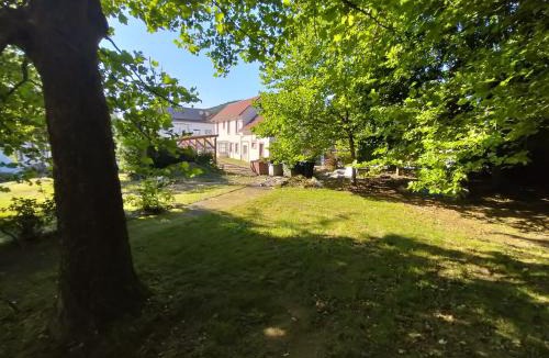 Raon-l'Etape Apartment | Maison à 8 min de Saint Dié en lieu calme proche nature Lacs, forêt, Parcs